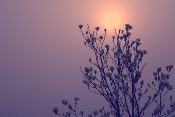 你的“冷淡”裡，藏著很多的福氣