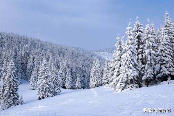 臘月初六，該吃“冬補五寶”了！暖腸胃，補營養，渾身暖和不怕冷
