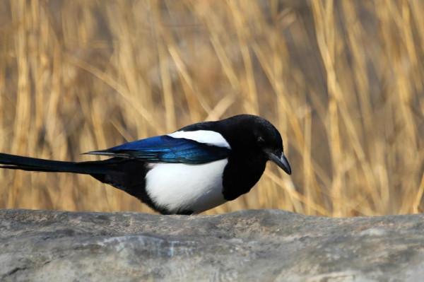 新年伊始，永珍更新，您好2022
