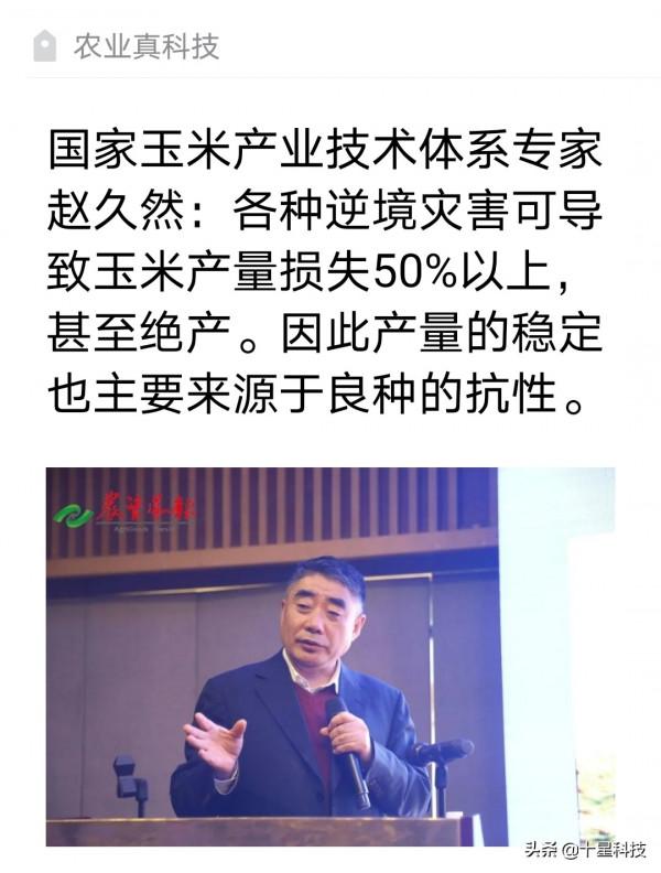 買玉米種子，要小心騙子（二）：品種審定號，是3年之前的為好