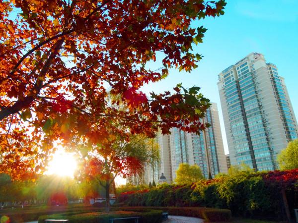秋 韻 賦----《蝶變回天》北京天通苑靚麗美景拍不完（18）