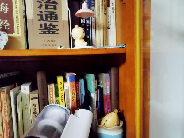 該來個大掃除了，看看斐納無線手持家用吸塵器展神力