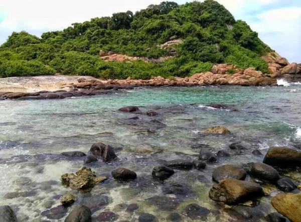 斯里蘭卡--回味無窮的青橄欖