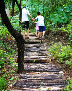 “文化碑林 綠色生態”——首都綠色文化碑林建設歷程回顧 “文化碑林 綠色生態”——首都綠色文化碑林建設歷程回顧