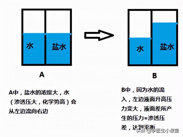 腎功能受損有哪些徵兆？醫生：除了泡沫尿，這幾種症狀也要警惕