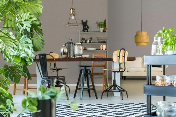 養花時遇到掉葉,長斑,長勢不佳等現象,要查詢原因,及時解決 養花時遇到掉葉,長斑,長勢不佳等現象,要查詢原因,及時解決