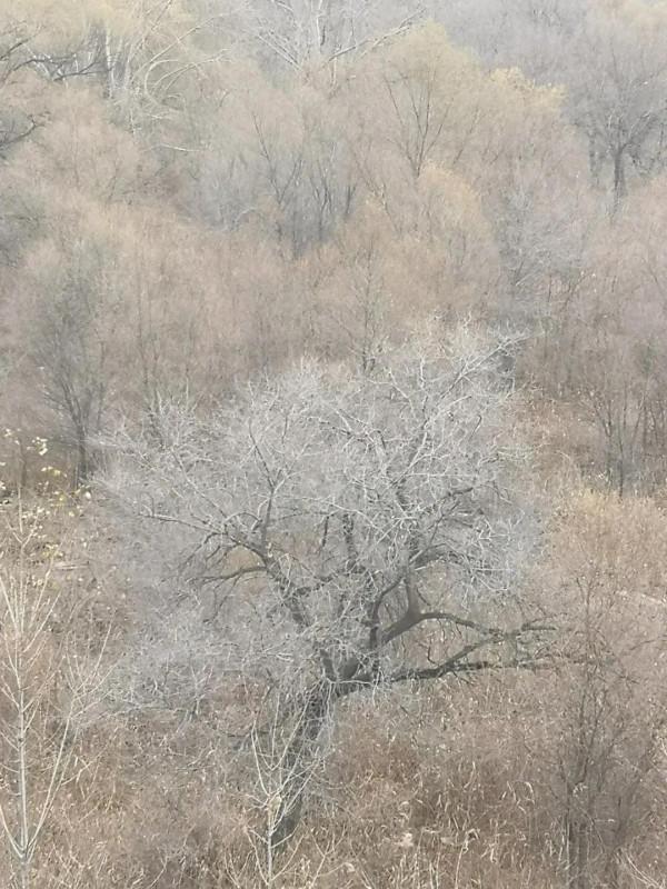 在深秋的寒風裡垂釣，釣的不是魚，而是興致！各位怎麼看？