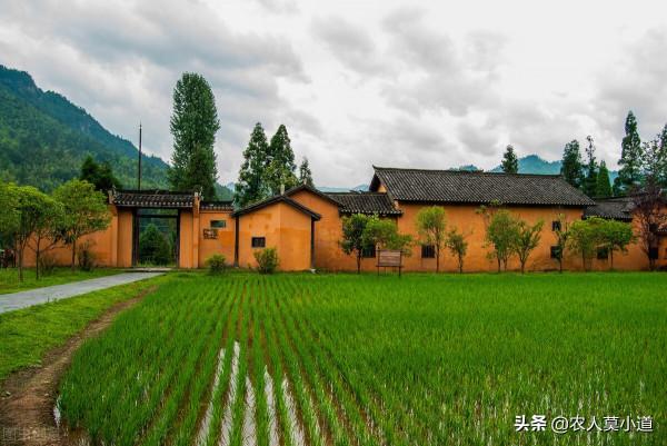 有人說很多農村都成了空心村，是真的嗎？未來農村會消失嗎？