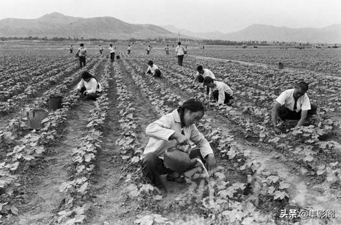 泰安市六七十年代老照片 泰安市六七十年代老照片