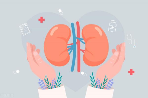 什麼因素會導致慢性腎炎快速進展？「免疫相關腎臟健康科普72」
