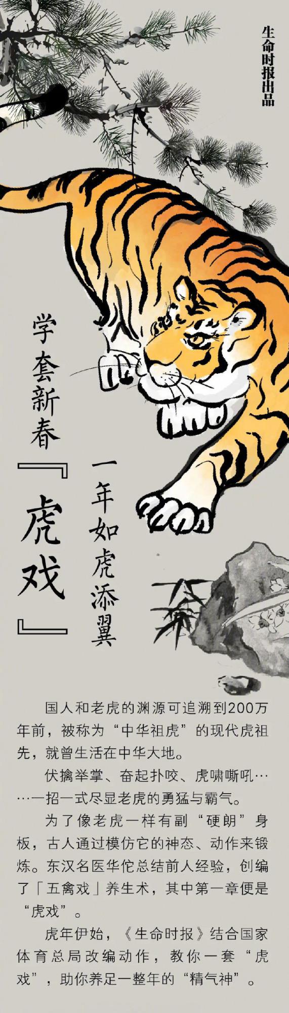 虎年&OpenCurlyDoubleQuote;虎戲&rdquo;，身體如虎添翼