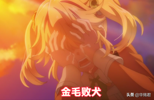 暗殺者轉生異世界：塔兒朵拼命幫助盧各援救蒂雅，金毛敗犬實錘了