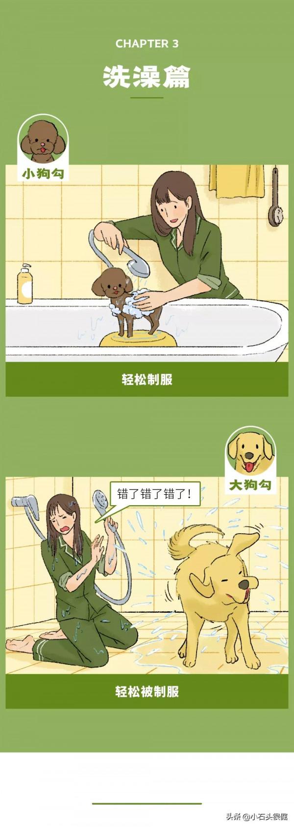 養大狗和小狗的區別(漫畫) 養大狗和小狗的區別(漫畫)