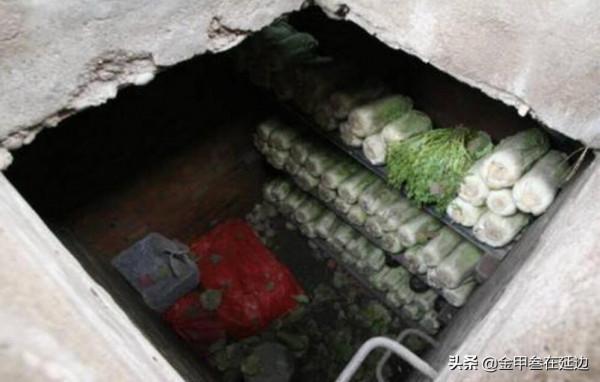 從我，一個東北人的角度，講一講東北“貓冬”的那點事兒