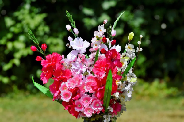 20個耳熟能詳的成語，原來都藏在古詩詞裡