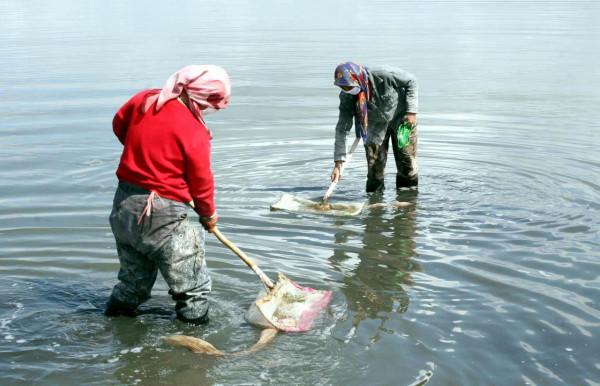 巴里坤：這座荒涼得只剩金礦的縣，如今已成遊客熱門打卡地
