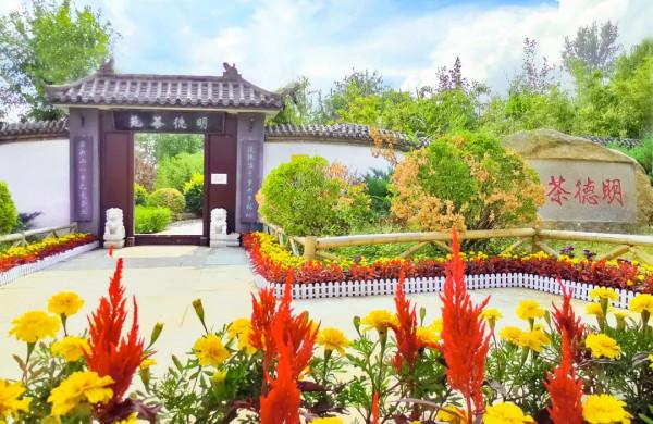 鳳凰嶺彩葉進入最佳觀賞期