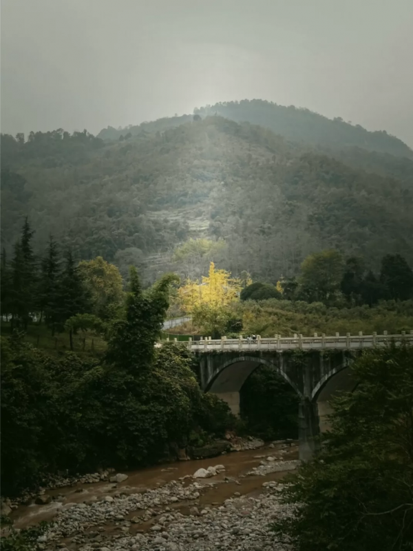 雪上下的千年古鎮，有什麼不一樣？