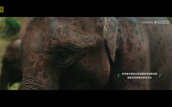 國慶雲遊祖國,怎能不看這些紀錄片 國慶雲遊祖國,怎能不看這些紀錄片