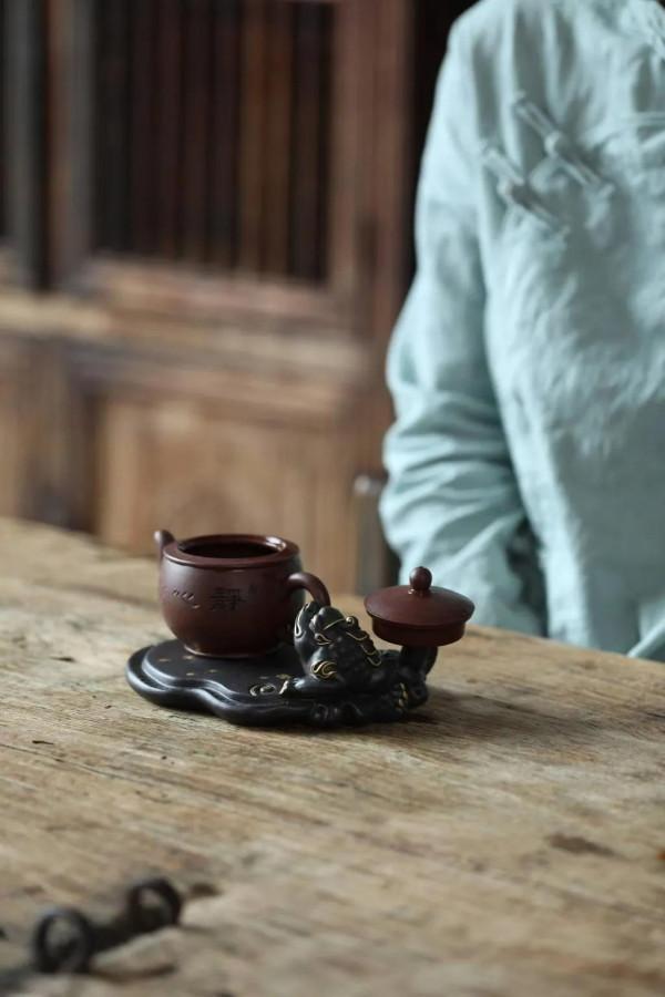 招財靈芝金蟾，見過嗎？