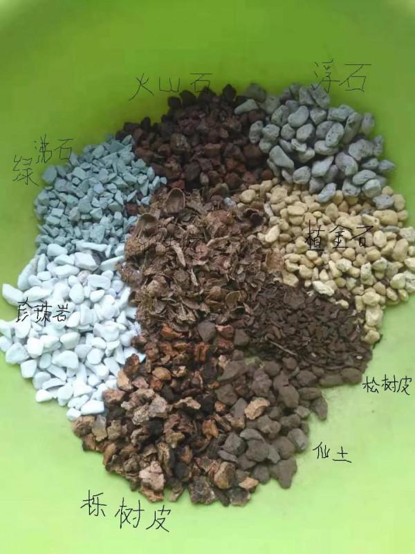 掌握秋季蘭花5步上盆法,半個月就能服盆,省錢省力還省心 掌握秋季蘭花5步上盆法,半個月就能服盆,省錢省力還省心