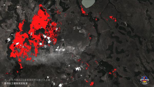 衛星直擊：亞馬遜雨林正在經歷“每年一痛”
