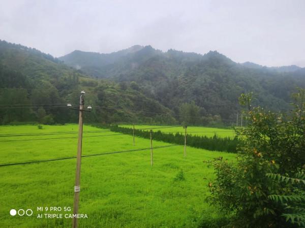 忘掉了時光，怎麼會快快老去？