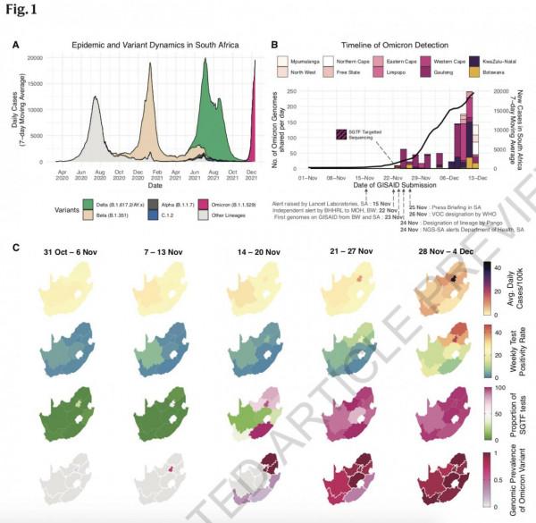 發現奧密克戎變異株團隊《自然》發文覆盤始末：起源地或非豪登省