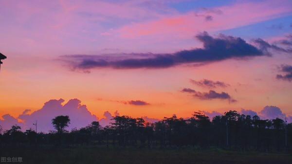 《人間失格》:生而為人,我很抱歉(中篇) 《人間失格》:生而為人,我很抱歉(中篇)