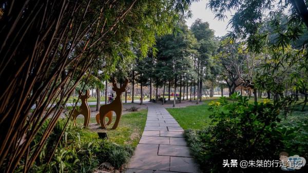 打卡成都幾處公園 有的是四川最早開辦的 有的是當地唯一五星級公園