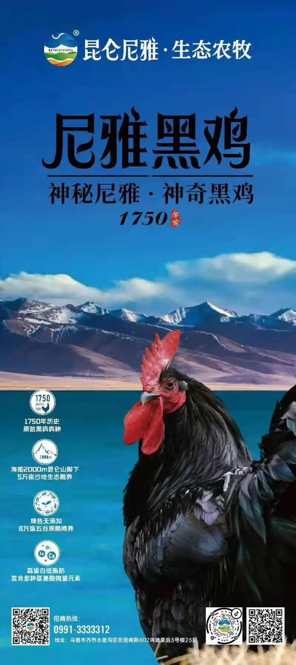 鄉村振興 攜手同行 | 每日推薦：新疆特色產品——和田民豐尼雅黑雞