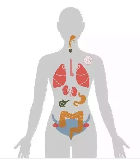 孩子日常會接觸到哪些致癌物？想不到這麼多（附一級致癌物清單）