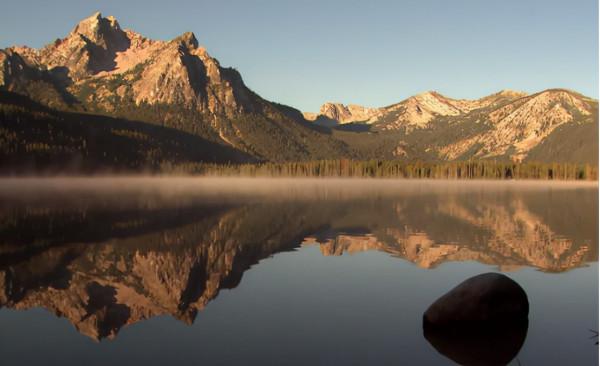 史前動物廣翅鱟：專吃海洋“浮屍”，4億年前最先登陸地面的動物