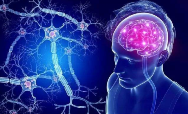 人類的大腦相當於多少G的記憶體？其實我們一直都低估了大腦的能力