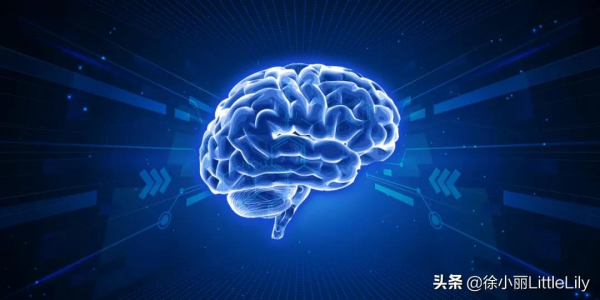 五臟六腑與大腦的關係