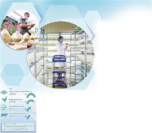 種業振興打出組合拳 種業振興打出組合拳