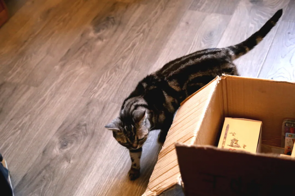 幹飽飯，才有力氣營業