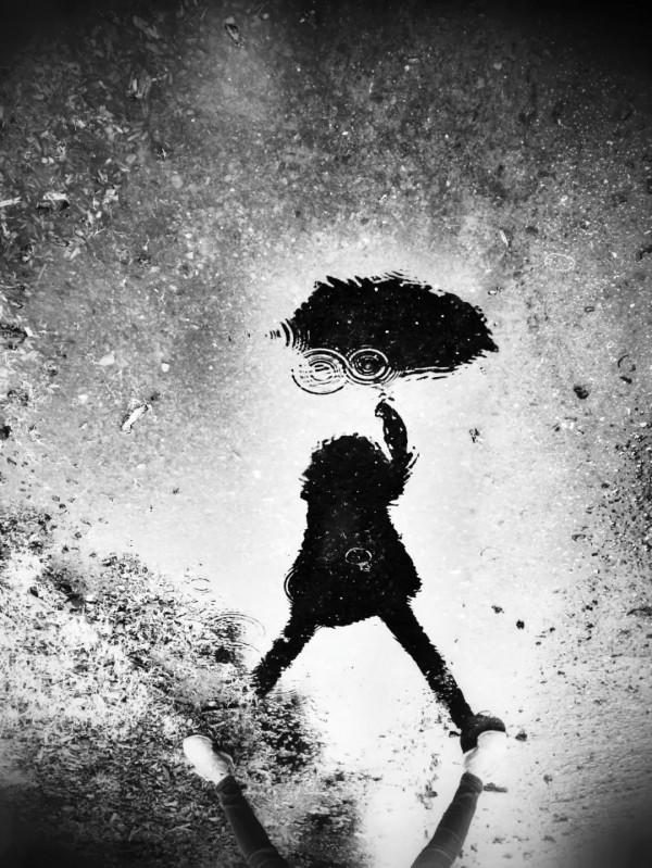 知道他會寫,不知道他這麼會寫 知道他會寫,不知道他這麼會寫