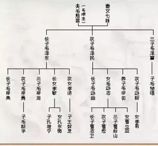 罕見的戎裝照片（毛岸英）