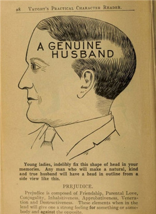 19世紀的女人挑老公 要看腦袋形狀|每天一堂冷知識 19世紀的女人挑老公 要看腦袋形狀|每天一堂冷知識