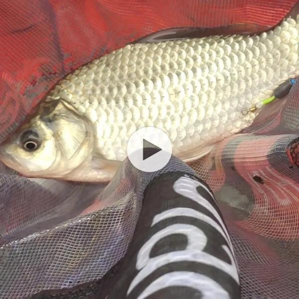 玩戶外釣魚這項運動一年了，還是比較燒錢的