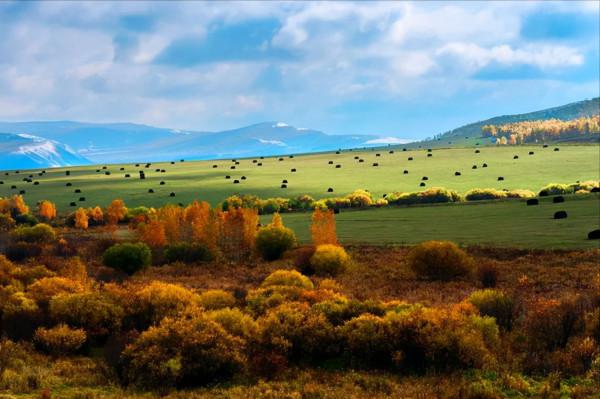 內蒙古美食攻略:到內蒙古不得不吃的小吃,你吃過幾種呢? 內蒙古美食攻略:到內蒙古不得不吃的小吃,你吃過幾種呢?