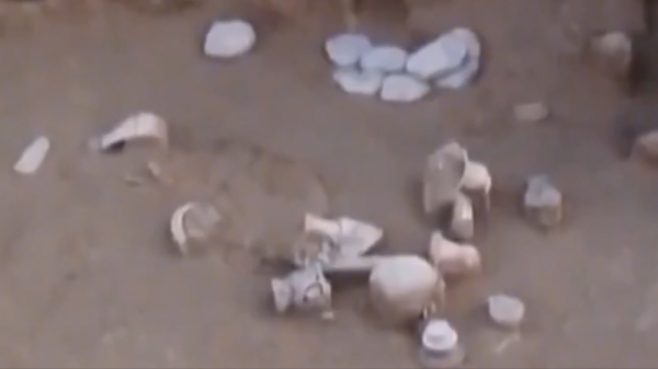 1985年小村莊挖出大型墓葬群，陪葬品價值連城，距今已經5300多年