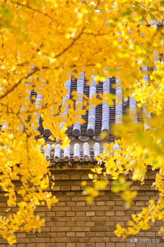 如果沒有疫情，此刻我勸你一定要去一趟北京...