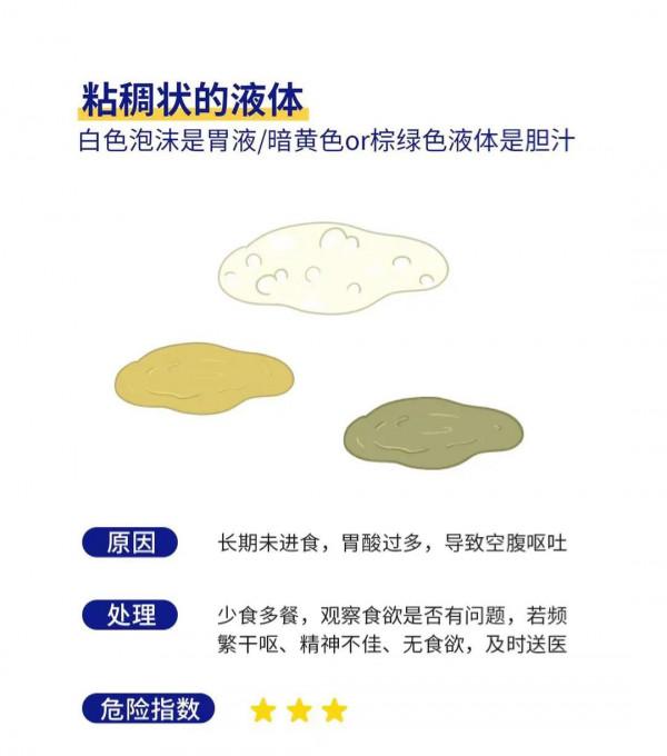 貓咪嘔吐的六種情況