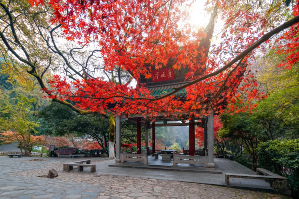 湖南，被低估了