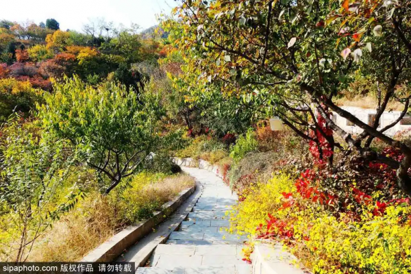 部分免費！北京賞秋“價效比”最高選擇都在這兒了！