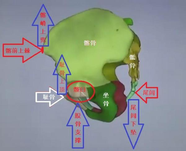 門外看太極：彈簧力