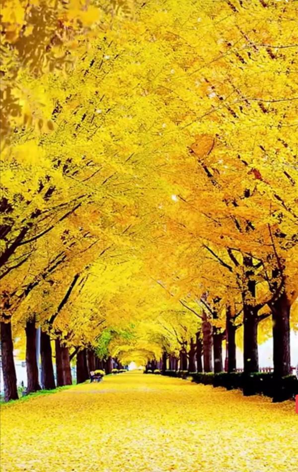 買了假貨再遭洗劫欺凌