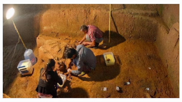 陝西發現古代墓葬群，出土17座大型古墓，墓中景象讓人揪心